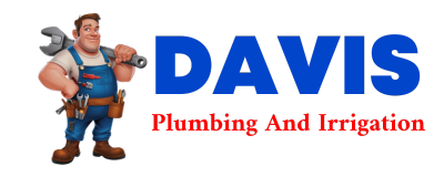 Trusted plumber in TREMONT CITY